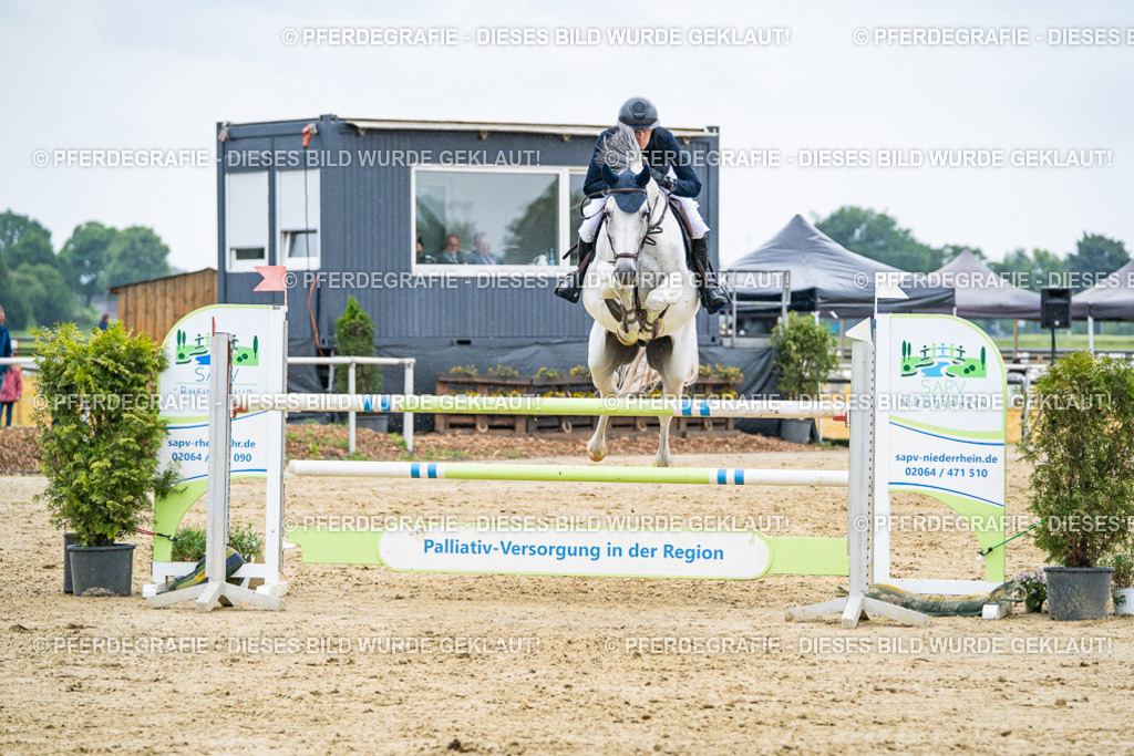 DSC09486 | Pferdegrafie