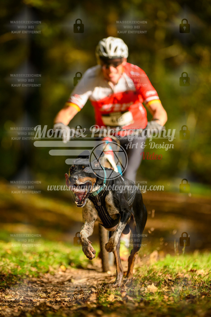 MompixPhotography_20TSB_E1_DS1-28 | PayLife