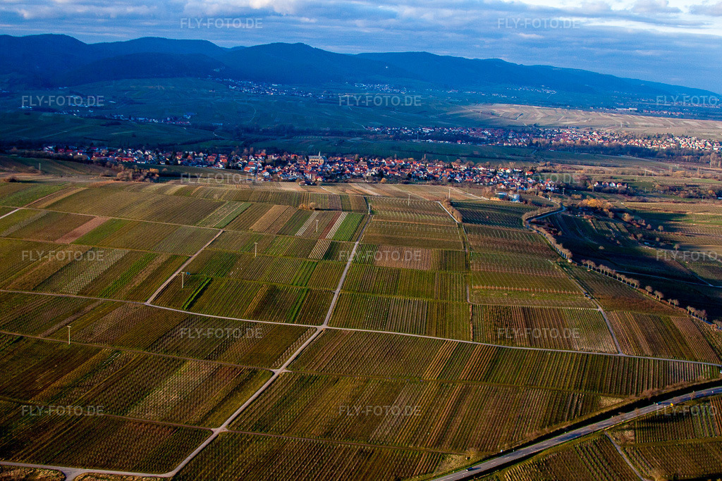Luftbild: Arzheim von Süden im Ortsteil Arzheim in Landau im Bundesland Rheinland-Pfalz in Deutschland. Foto: IMG_62210.jpg vom 23.02.2014 durch Werner Riehm/FLY-FOTO.de