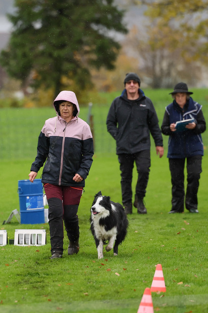 2025_Rally_Obedience_SM-46 | Ich fotografiere Hundeausstellungen, Sportanlässe, Zuchtstätten, Hundezucht, Hundeportrait, Lagotto - Realisiert mit Pictrs.com