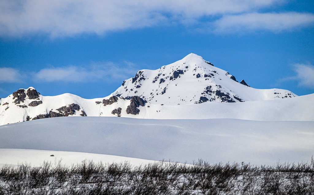Alaska | Denali Highway - Realisiert mit Pictrs.com