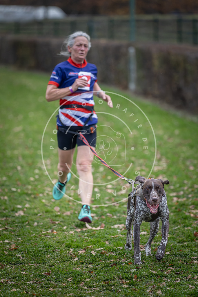 CaniXpix_DV3A7340 | Hundefotografie, Tierfotograf, Pfotenfotografie, Fotoshooting Hund, Hunde Portrait, Hundesport, Hundeportraits, Heideshooting, Hunde, Sportfotograf, Hundefotograf, Turnierhundsport, THS,  - Realisiert mit Pictrs.com