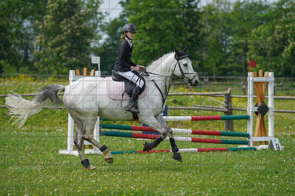 20240509-FAH02719 | Turnierbilder der Turnierfotografen Bayern, Pferdesport Fotografie, Reitsportbilder, Turnier Landberg am Lech, Turnierbilder bayern, Fotoagentur Herrmann