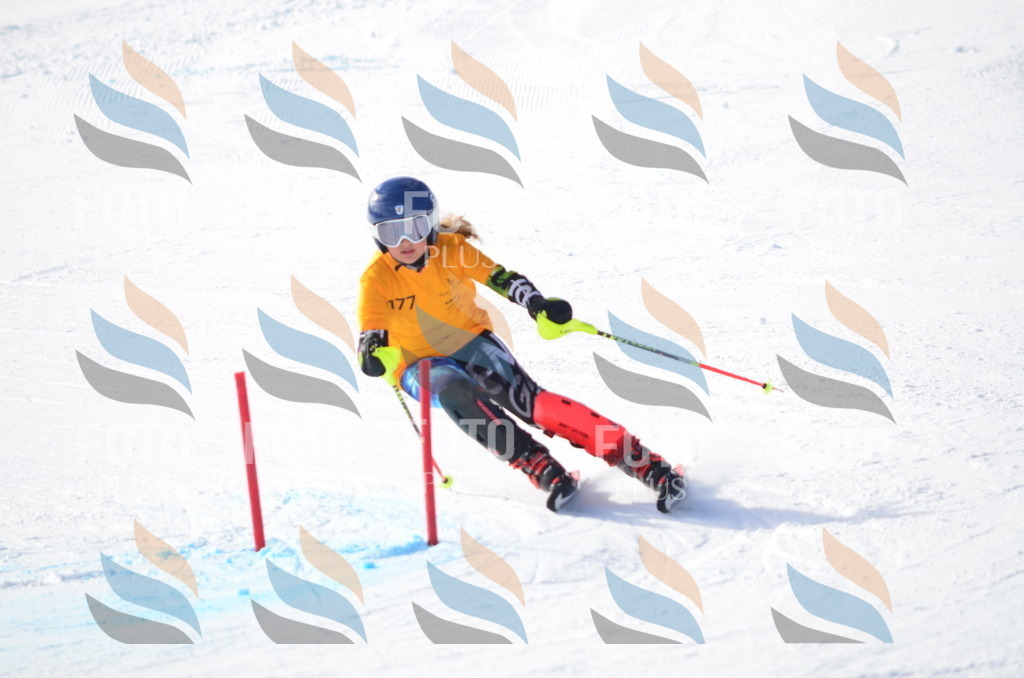 C7954 | holidayphoto