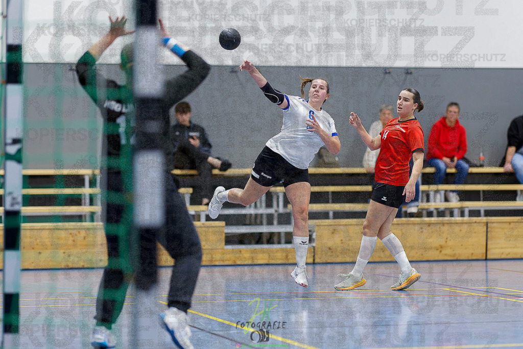 Frauen 2. Bezirksklasse; SG Rechtenbach - HSG Linden II | Frauen 2. Bezirksklasse; SG Rechtenbach - HSG Linden II am 16.11.2025 in Rechtenbach (Sporthalle Rechtenbach)Photo © 2025 - Jörg Heinrich - Realisiert mit Pictrs.com