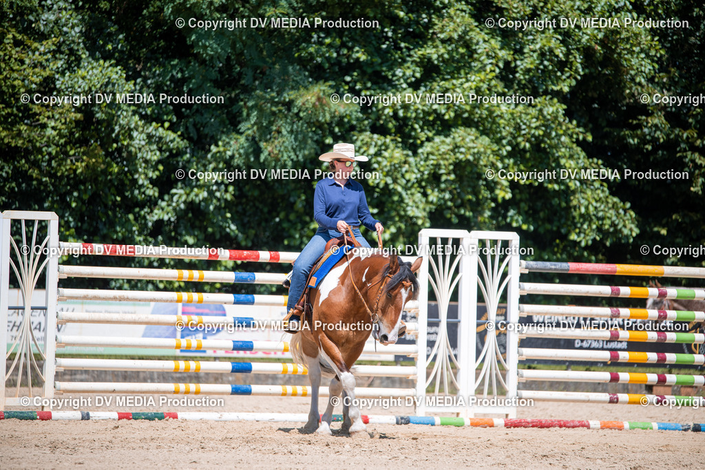 ZS1_1219 | dv-media-shop - Realisiert mit Pictrs.com