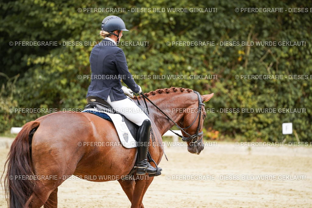 DSC09478 | Pferdegrafie