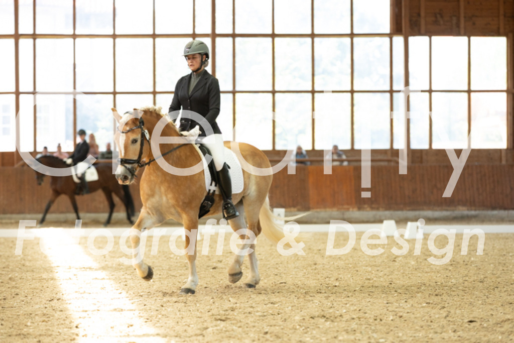 IMG_5341 | Creatify Fotografie