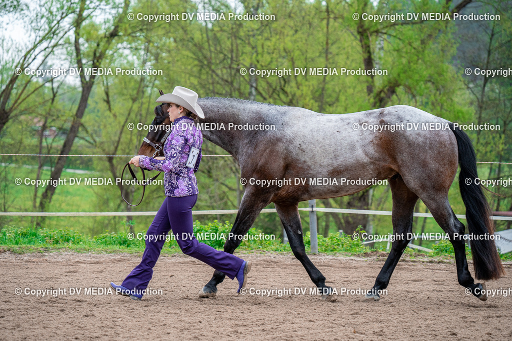 BA300106 | dv-media-shop - Realisiert mit Pictrs.com