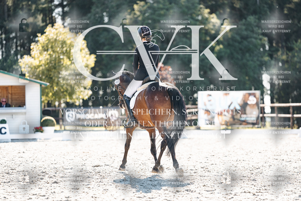 CK906231 | Turnierfotografie Pferdefotografie Trier Rheinland-Pfalz Pferdesport Reitsport Tierfotografie Sportfotografie Pferdevideo Pferdevideografie Equestrianvideography equestrianphotography  - Realisiert mit Pictrs.com