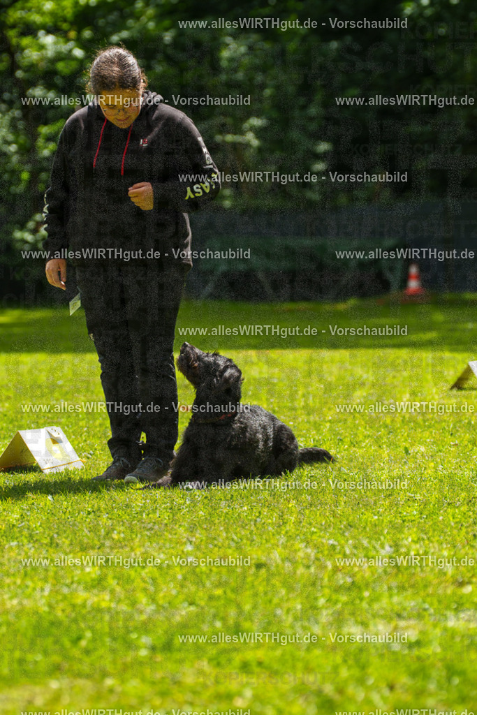 @allesWIRTHgut_Tierfotografie - www.allesWIRTHgut.de - 7R505310 | Professionelle Tierfotografie in Mönchengladbach von Daniel Wirth (allesWIRTHgut). Liebevolle & natürliche Bilder von Hunden & Katzen für unvergessliche Erinnerungen.