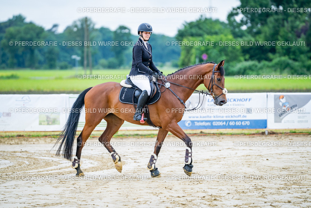 DSC00941 | Pferdegrafie