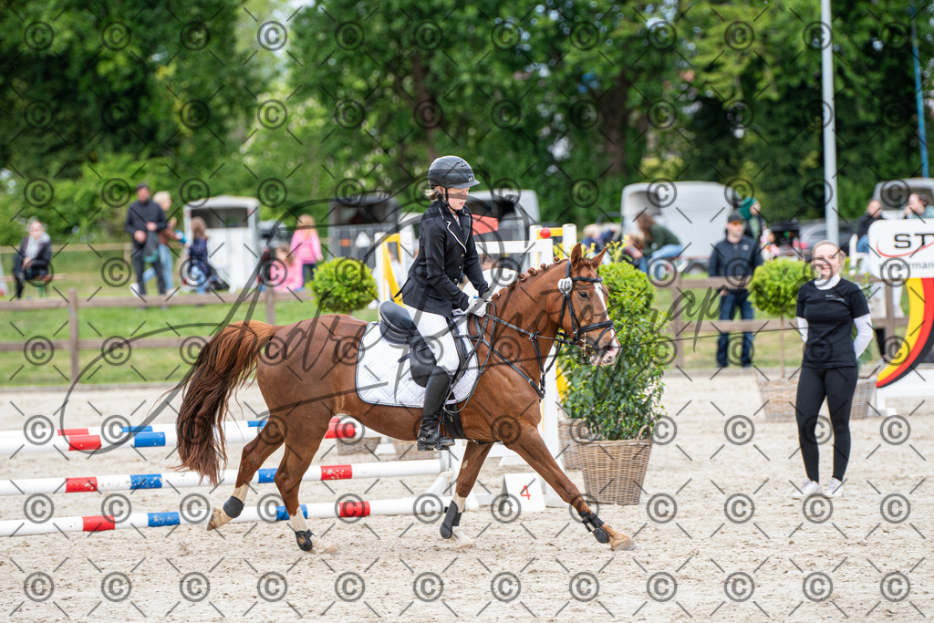 KPT_5927 | andre_photographic