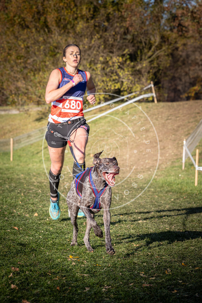 CaniXpix_0L8A9277 | Hundefotografie, Tierfotograf, Pfotenfotografie, Fotoshooting Hund, Hunde Portrait, Hundesport, Hundeportraits, Heideshooting, Hunde, Sportfotograf, Hundefotograf, Turnierhundsport, THS,  - Realisiert mit Pictrs.com
