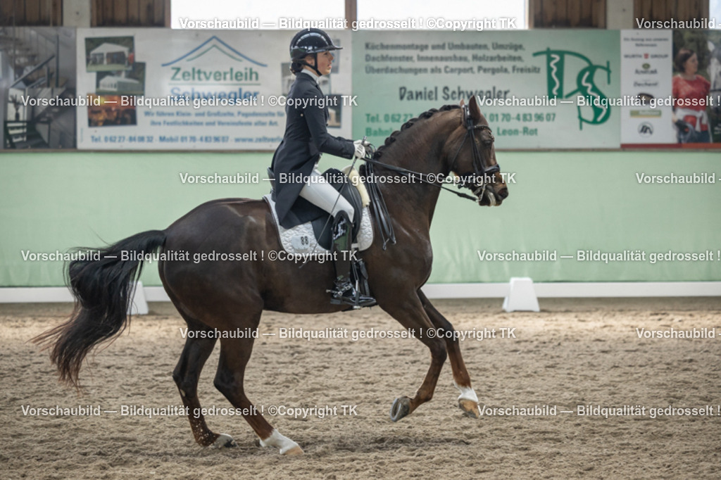 _D5A4927 | Emotionale Pferde- & People-Fotografie rund um Heidelberg, Leimen & Umgebung. Natürliche Fotos von Pferd, Mensch & Familie. Jetzt Termin sichern!