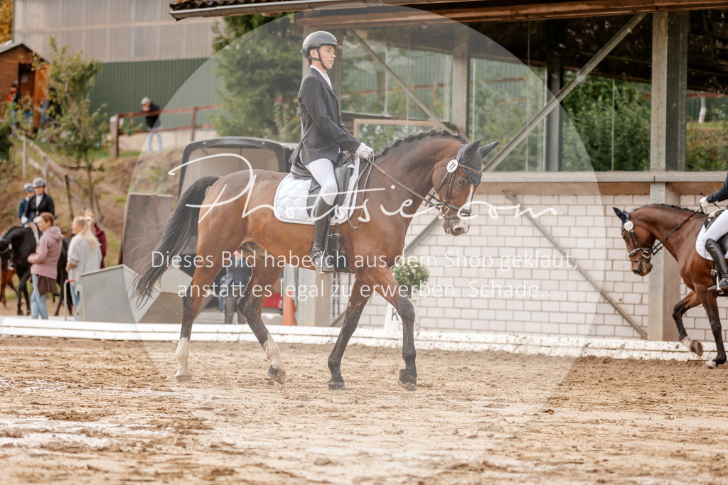 3I6A7158 | Stimmungsvolle Portraits und Reitsportfotografie im Ruhrgebiet und im Münsterland.

Pferdefotografie, Hundefotografie, Tierfotografie, Reportagen, Portraits von Tier und Mensch, Turnierfotografie in Bochum, Recklinghausen, Marl, Haltern am See, Dülmen.. - Realisiert mit Pictrs.com