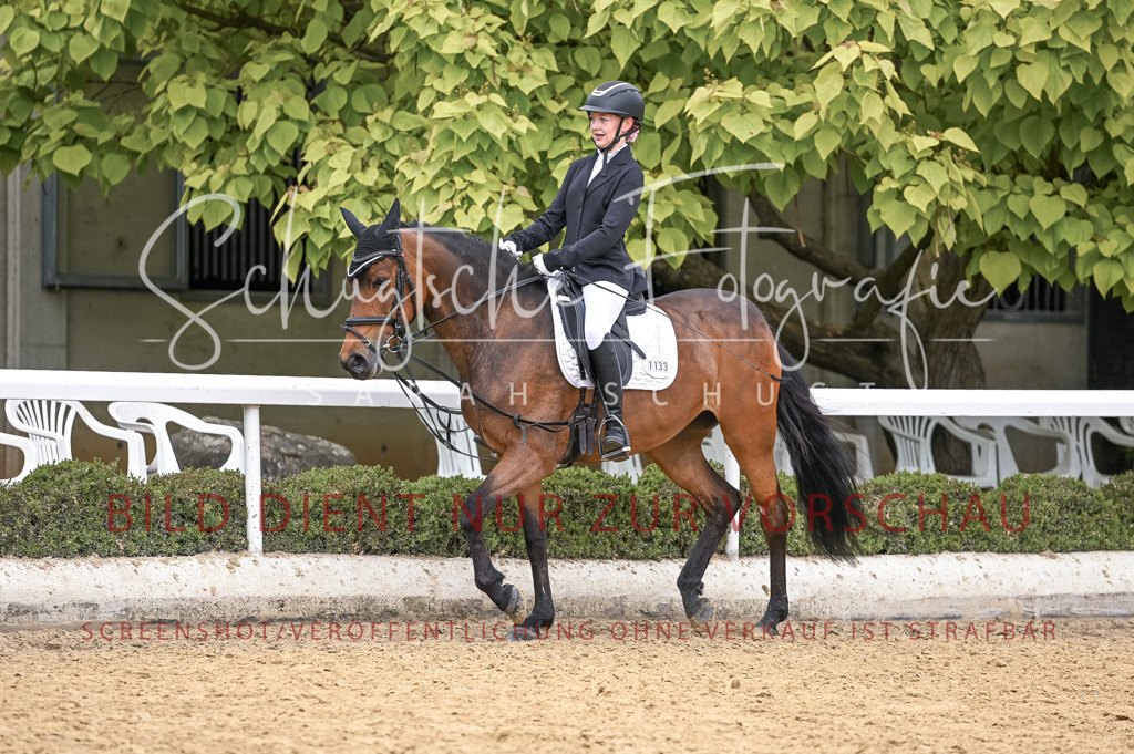 Schugtsche-Aluta25-44.DresssurreiterWB-226 | Schugtsche Fotografie - Realisiert mit Pictrs.com