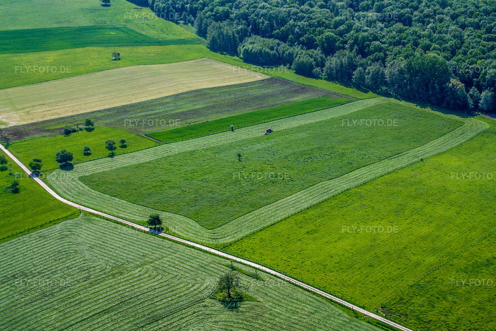 Luftbild: Gemähte Wiesen in Weiterswiller im Bundesland Bas-Rhin in Frankreich. – Foto: IMG_10874.jpg vom 12.05.2008 durch Werner Riehm/FLY-FOTO.de – Auflösung des Originals: 3456 x 2304 px