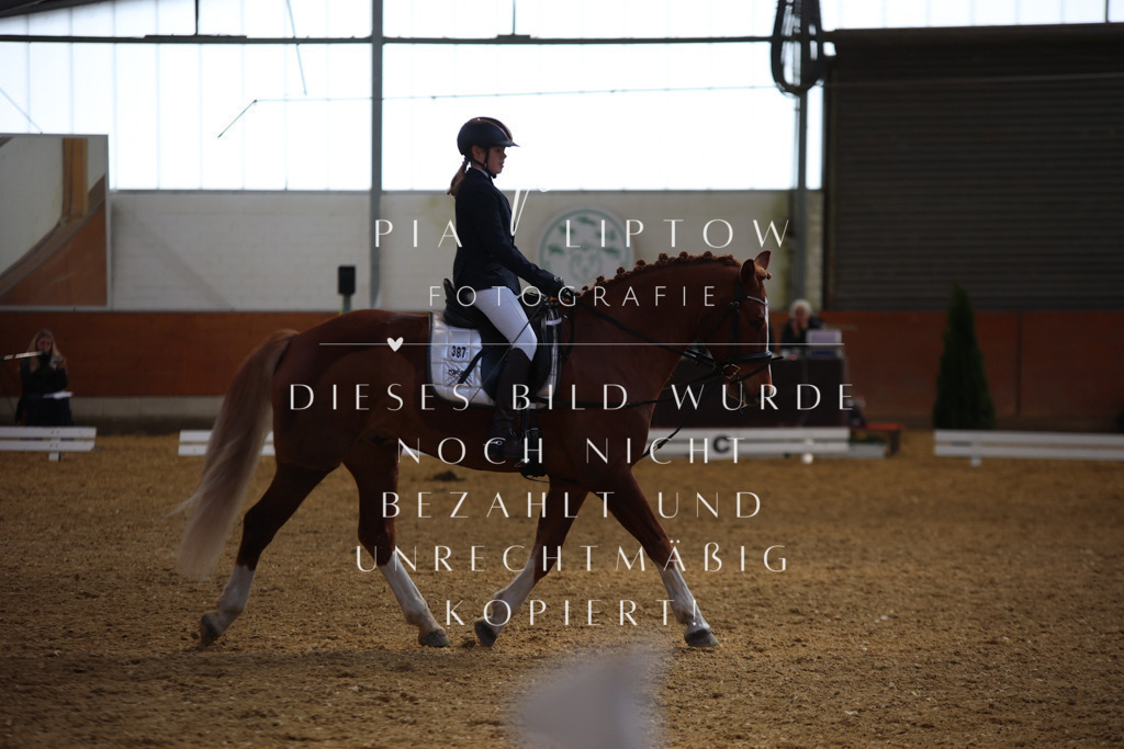 IMGT4008 | pl-fotografie