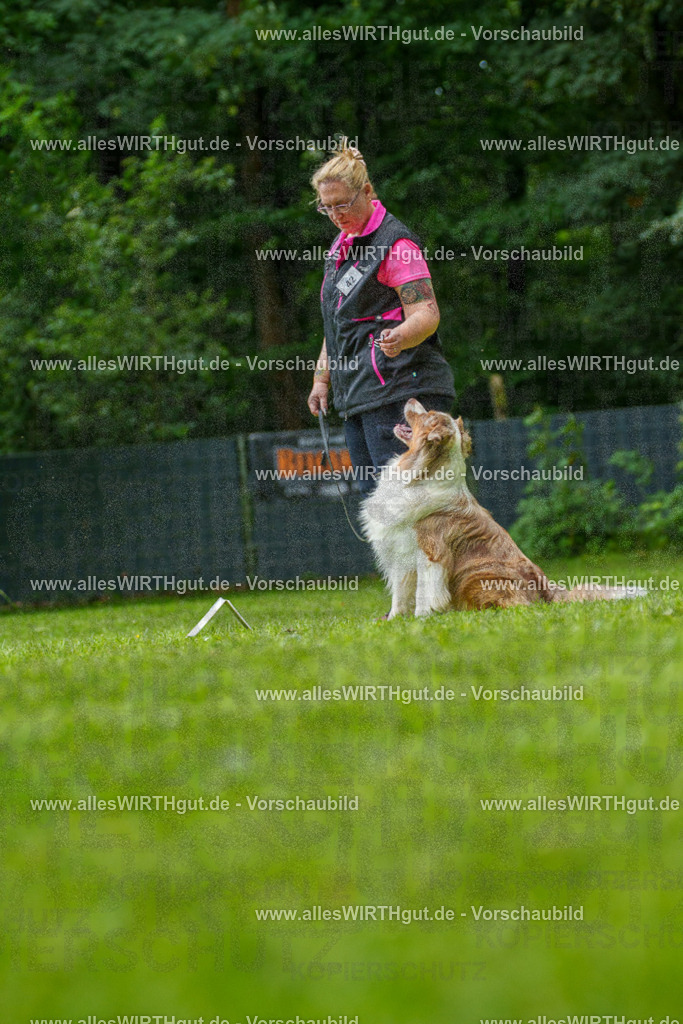 @allesWIRTHgut_Tierfotografie - www.allesWIRTHgut.de - 7R505066 | Professionelle Tierfotografie in Mönchengladbach von Daniel Wirth (allesWIRTHgut). Liebevolle & natürliche Bilder von Hunden & Katzen für unvergessliche Erinnerungen.