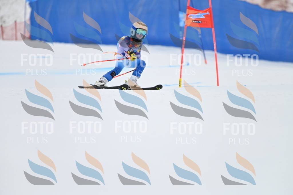 BGV_2576 | holidayphoto