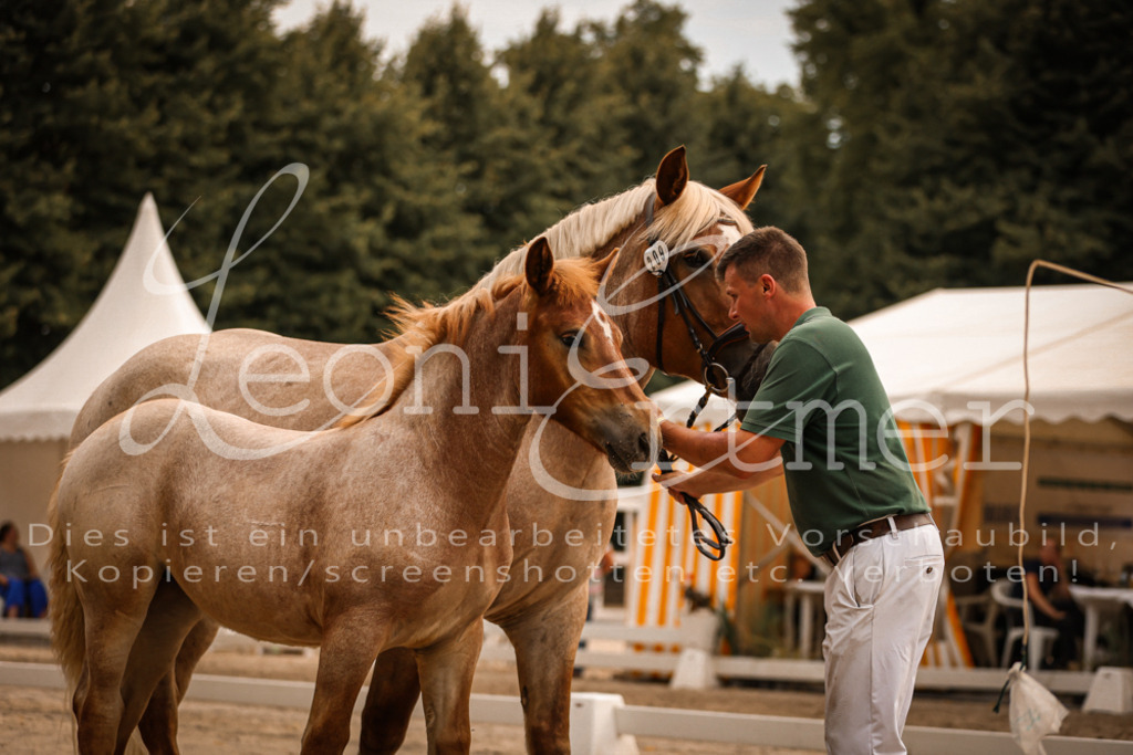 SaSF00078 | Leoni Ertmer Photography - Realisiert mit Pictrs.com