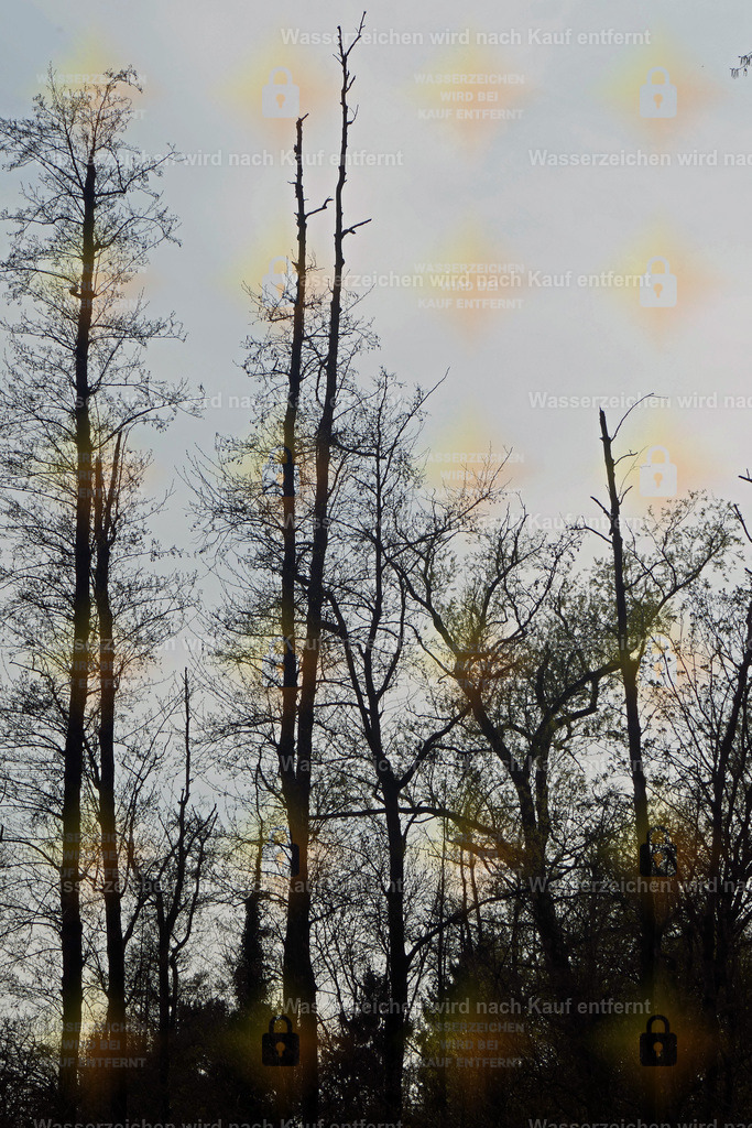 P1100857 | Fotoseite Wolkenblende - Das Hobby fotografieren begleitet mich schon  viele  Jahre. Auf den nächsten Seiten zeige ich ein paar Schnappschüsse der letzten Jahre und es kommen immer neue hinzu. Schau einfach mal rein. - Realisiert mit Pictrs.com