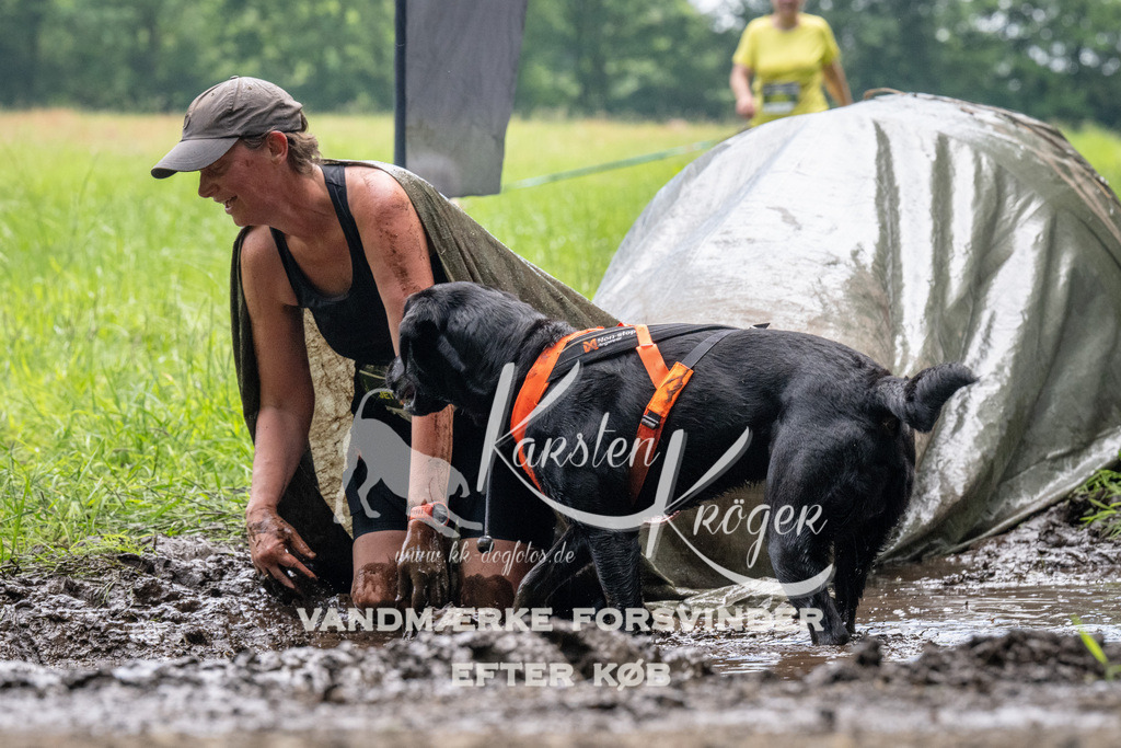 1120_ZZ92538 | kk-dogfotos
