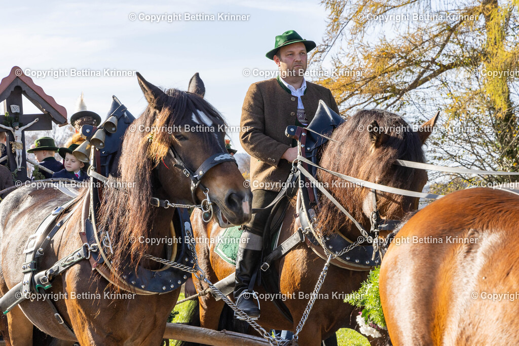 LBT24-1489 | foto-bettina-krinner - Realisiert mit Pictrs.com