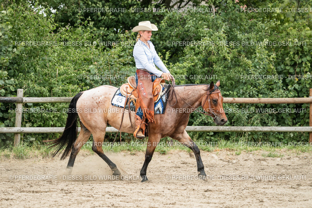 DSC04454 | Pferdegrafie