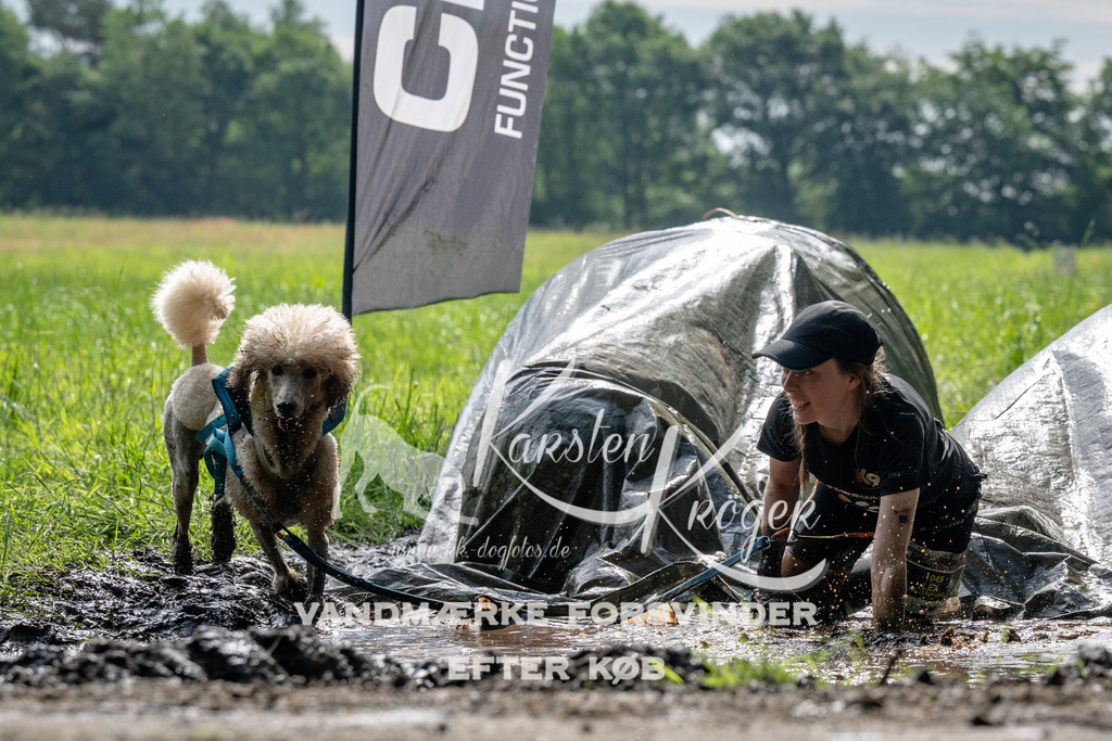 0913_ZZ90418 | kk-dogfotos