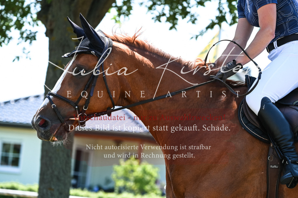 DSC_0142 | Pferde- und Turnierfotografie in Westsachsen. Pferdeportraits, Auftragszeichnungen und intuitive Kunst.