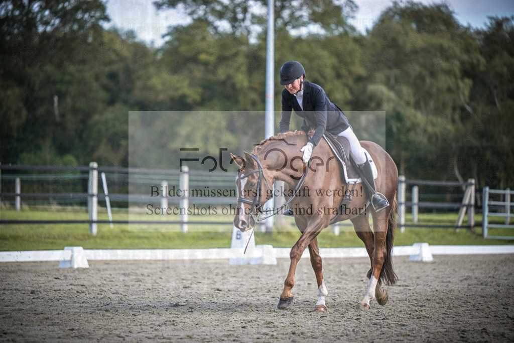 DOS_3867 | Entdecke hochwertige Reitturnierfotos von Foto Oger. Professionell, emotional und authentisch – jetzt Lieblingsmomente im Shop bestellen.Deutschlandweite Turnierfotografie. - Realisiert mit Pictrs.com