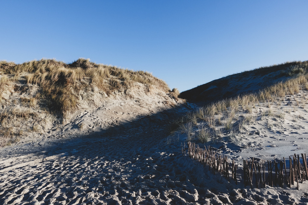 DSC03843 | AHORN PHOTOGRAPHY - Realisiert mit Pictrs.com