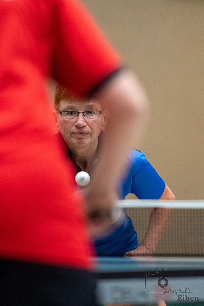 Oldenburger TB 3-VFL Edewecht | Bezirksliga Damen Nord; Oldenburger TB 3-VFL Edewecht am 06.11.2023; in Oldenburg (Sporthalle Haarenesch), Photo: Philip Eiben 2023 - Realisiert mit Pictrs.com