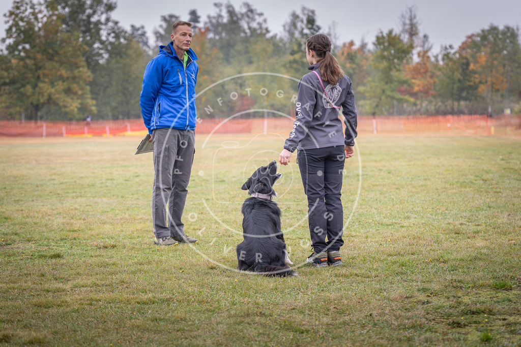 Pfotenfotografie_DV3A8728 | Hundefotografie, Tierfotograf, Pfotenfotografie, Fotoshooting Hund, Hunde Portrait, Hundesport, Hundeportraits, Heideshooting, Hunde, Sportfotograf, Hundefotograf, Turnierhundsport, THS,  - Realisiert mit Pictrs.com