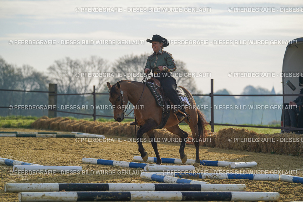 DSC00492 | Pferdegrafie