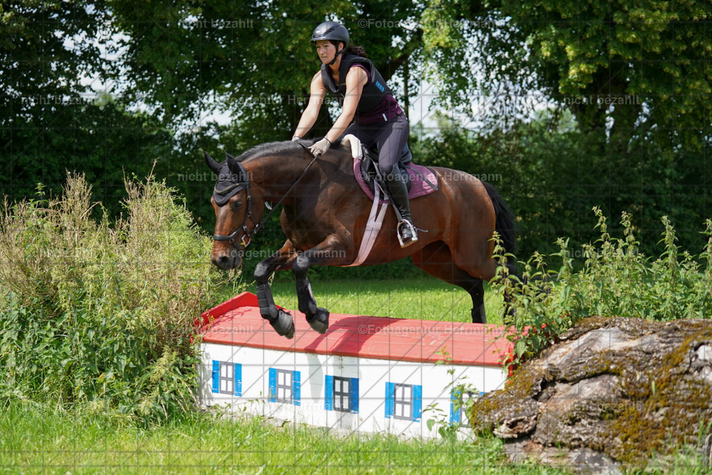 20240622-FAH07649 | Turnierfotografen Bayern, Reitsportbilder aus dem Geländekurs mit Felix Etzel auf dem Gut Waitzacker 2024