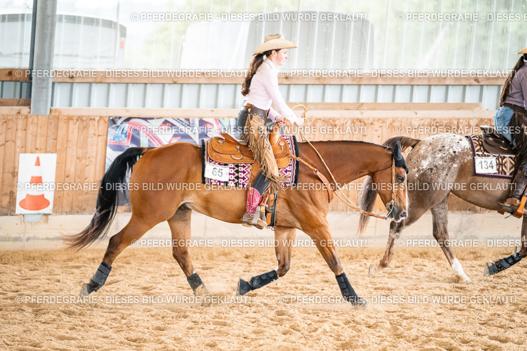 DSC00741 | Pferdegrafie