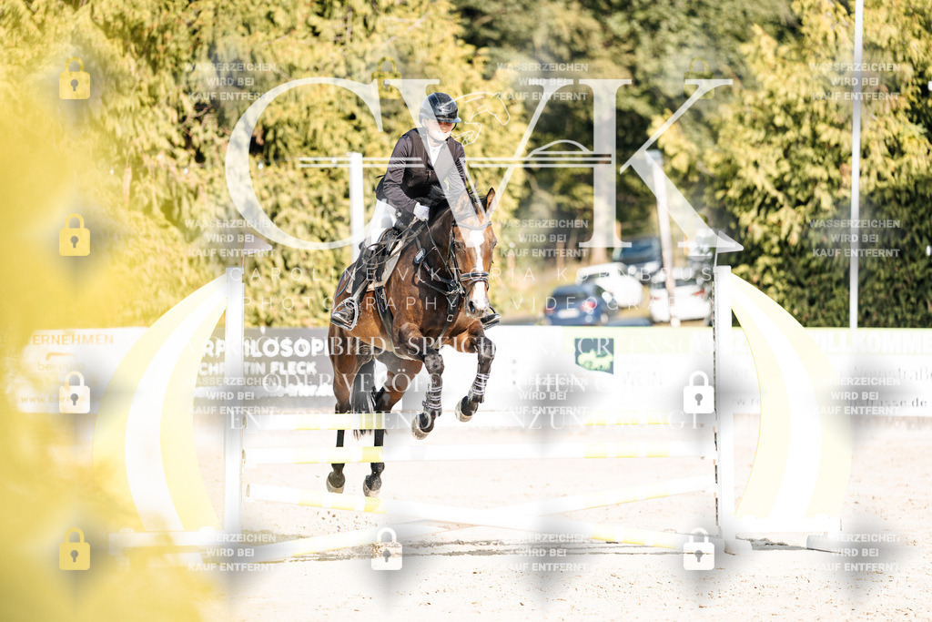 CK903165 | Turnierfotografie Pferdefotografie Trier Rheinland-Pfalz Pferdesport Reitsport Tierfotografie Sportfotografie Pferdevideo Pferdevideografie Equestrianvideography equestrianphotography  - Realisiert mit Pictrs.com