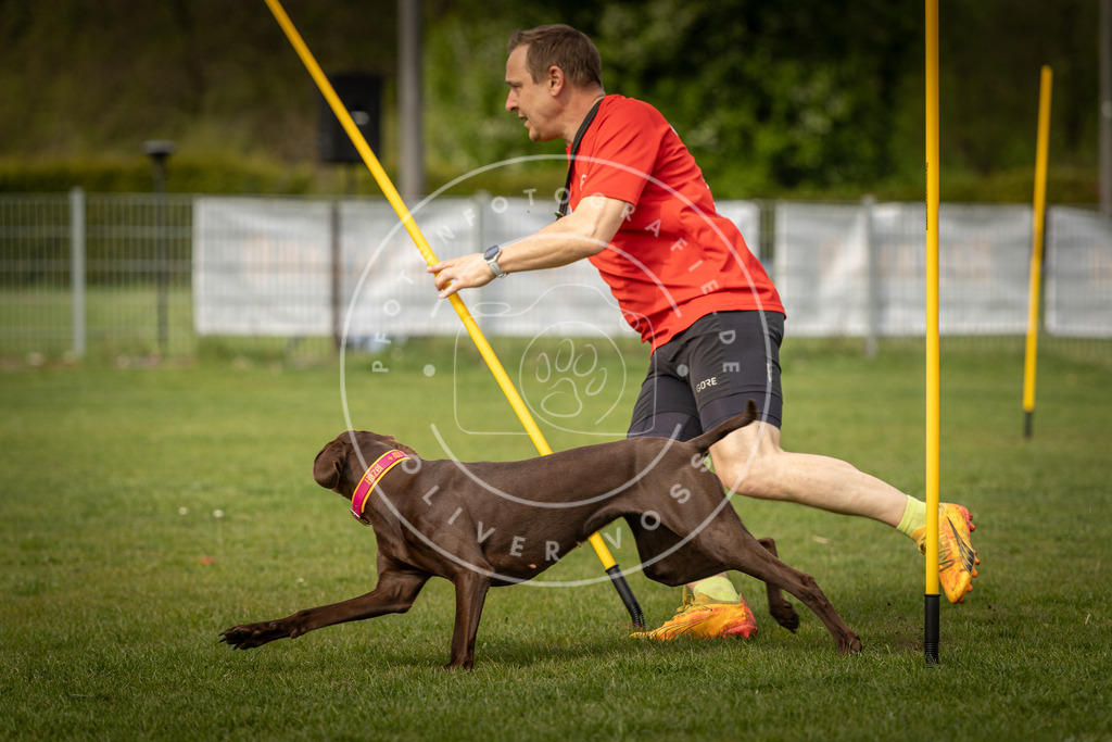 Pfotenfotografie_DV3A5301 | Hundefotografie, Tierfotograf, Pfotenfotografie, Fotoshooting Hund, Hunde Portrait, Hundesport, Hundeportraits, Heideshooting, Hunde, Sportfotograf, Hundefotograf, Turnierhundsport, THS,  - Realisiert mit Pictrs.com