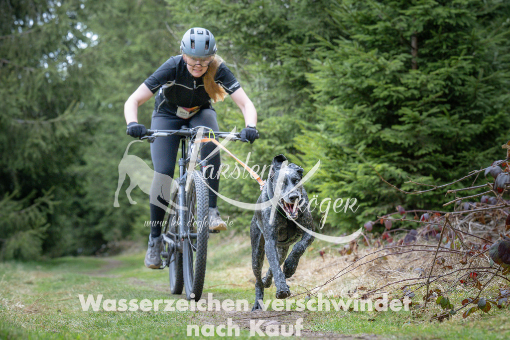 1310_ZZ93851 | kk-dogfotos