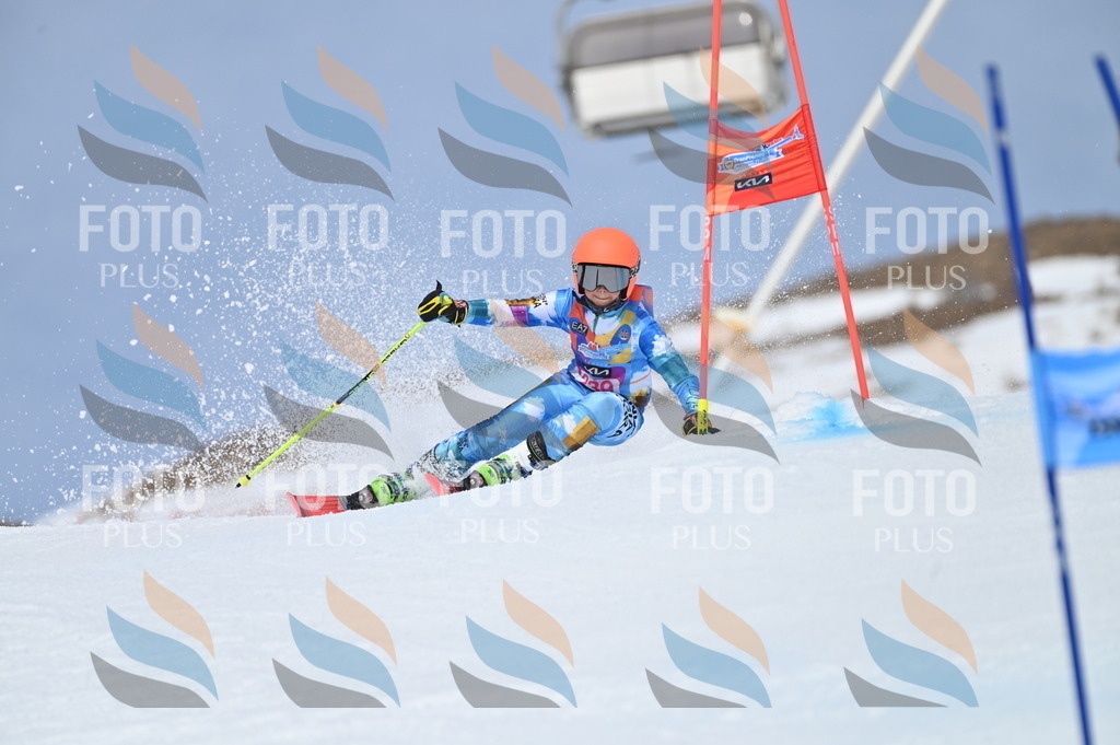 BGV_1669 | holidayphoto