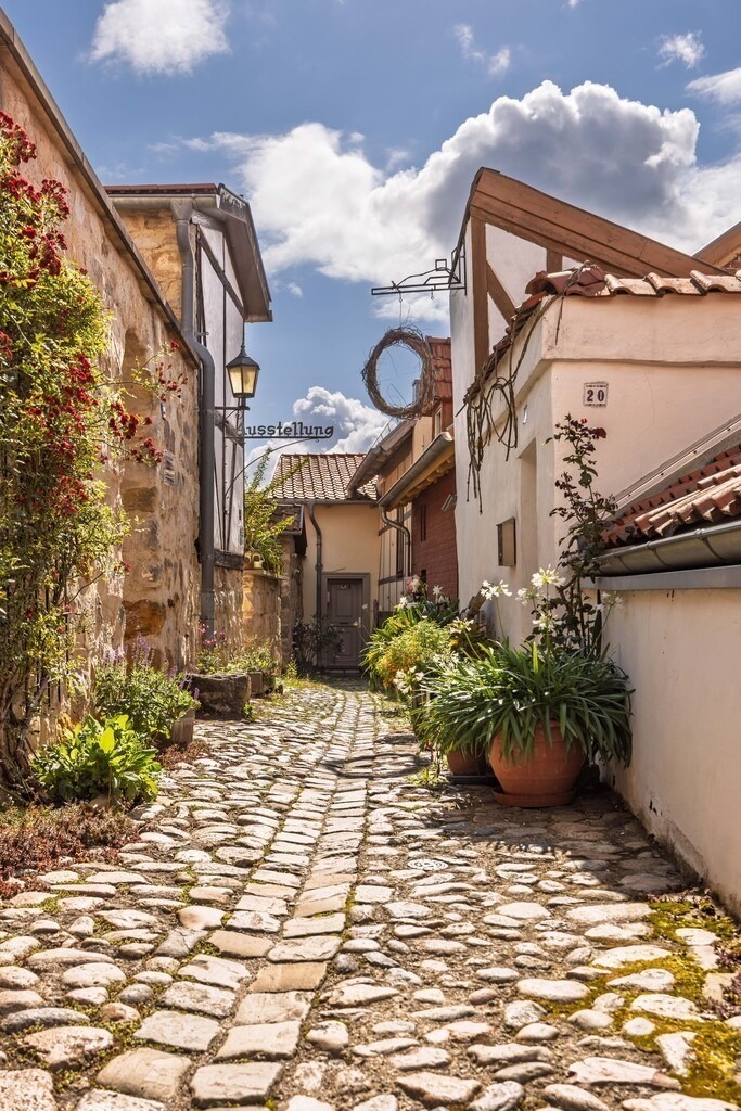 Münzenberg Quedlinburg 3 | Wir machen aus Ihren Bildern Erinnerungen für die Ewigkeit | Hochwertige Fotografien für Ihr zu Hause. - Realisiert mit Pictrs.com