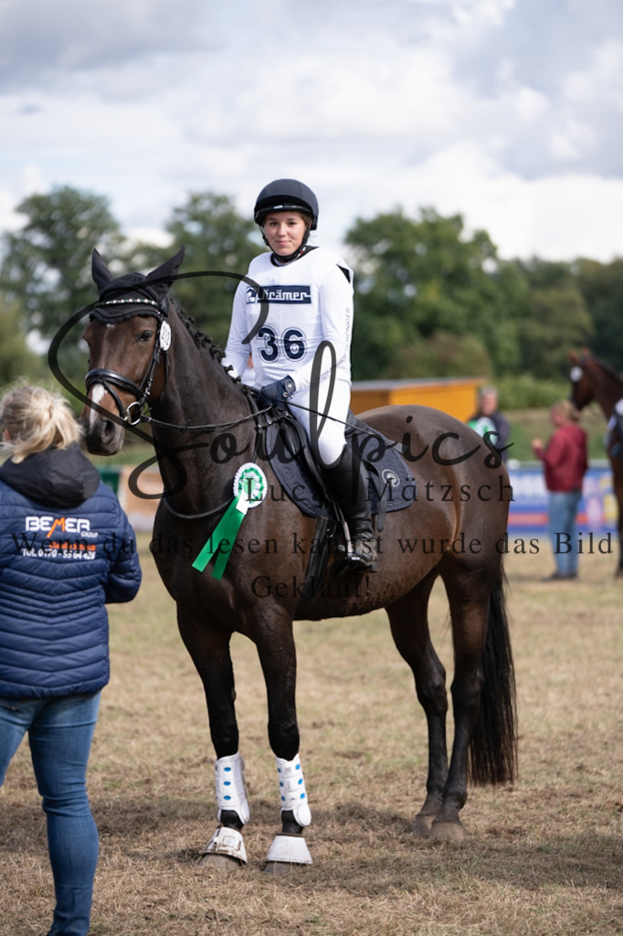 A7V01181 | Pferdefotograf