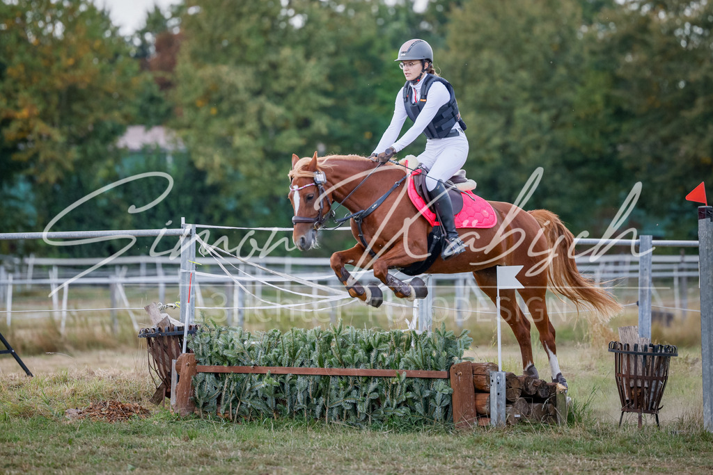20250905-_3LI0537 | Tierfotografie Pferde, Hunde, Katzen, Haustiere.
Turnierfotografie Reitturniere, Reiten, Springreiten, Dressur in Hanau, dem Main-Kinzig-Kreis und dem Rhein-Main- Gebiet um Frankfurt
