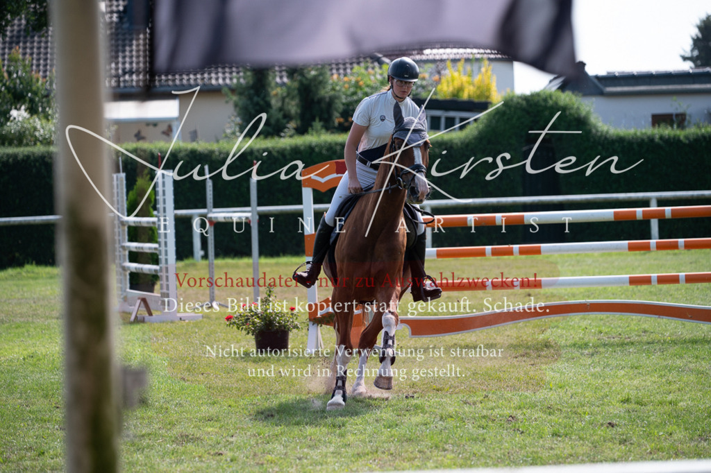DSC_0941 | Pferde- und Turnierfotografie in Westsachsen. Pferdeportraits, Auftragszeichnungen und intuitive Kunst.