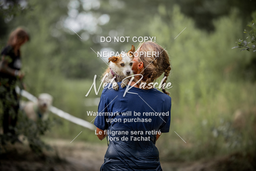 nelerasche_so0800-0930_203 | nelerasche