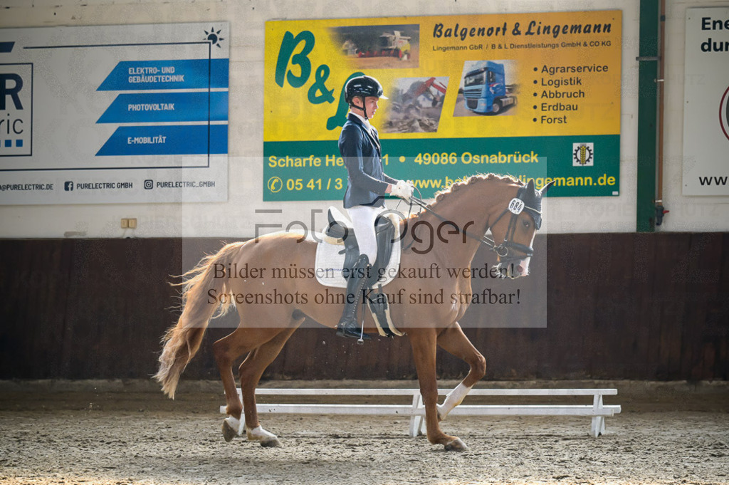 Reitturnier Voxtrup | Entdecke hochwertige Reitturnierfotos von Foto Oger. Professionell, emotional und authentisch – jetzt Lieblingsmomente im Shop bestellen.Deutschlandweite Turnierfotografie. - Realisiert mit Pictrs.com