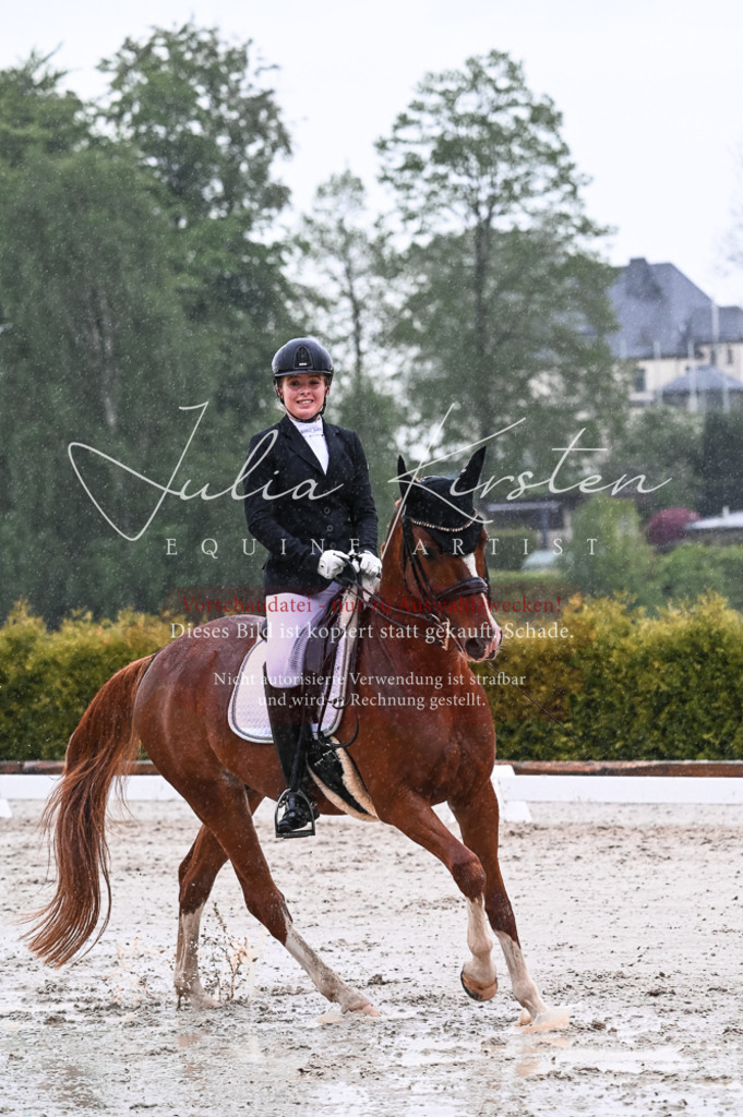 DSC_4640 | Pferde- und Turnierfotografie in Westsachsen. Pferdeportraits, Auftragszeichnungen und intuitive Kunst.